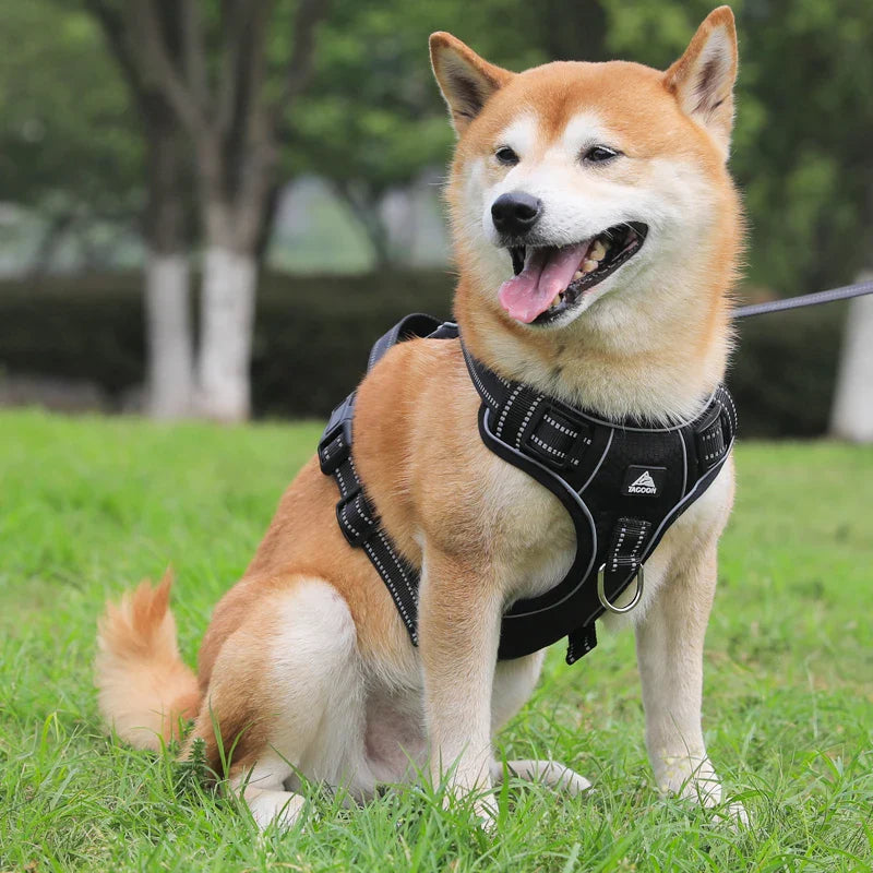 Colete peitoral ajustável e refletivo para cães de porte médio e grande - Segurança e conforto em cada passeio!