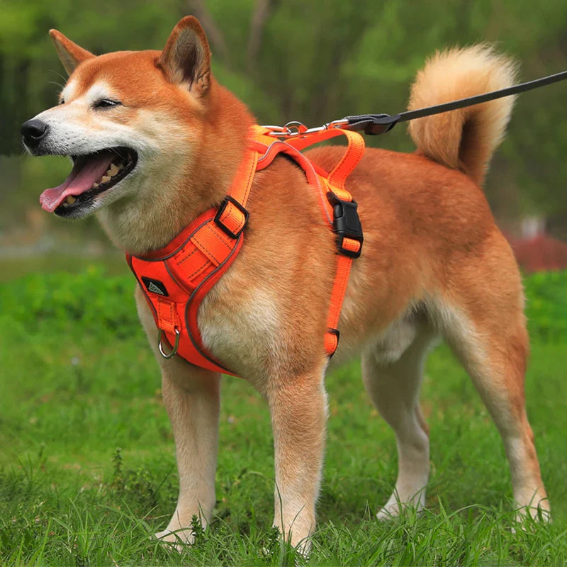 Colete peitoral ajustável e refletivo para cães de porte médio e grande - Segurança e conforto em cada passeio!