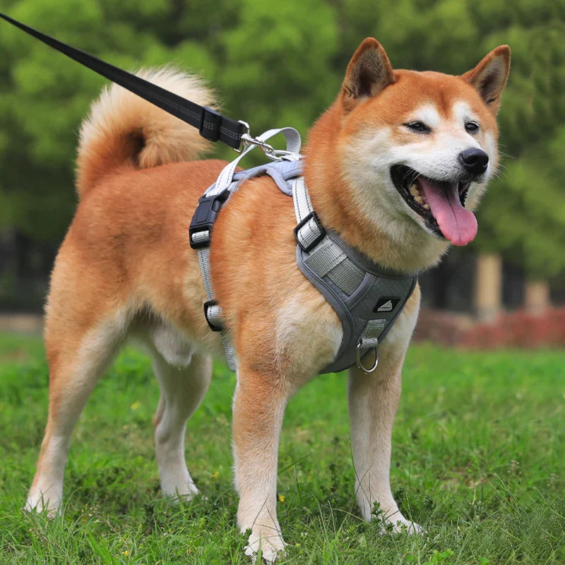 Colete peitoral ajustável e refletivo para cães de porte médio e grande - Segurança e conforto em cada passeio!