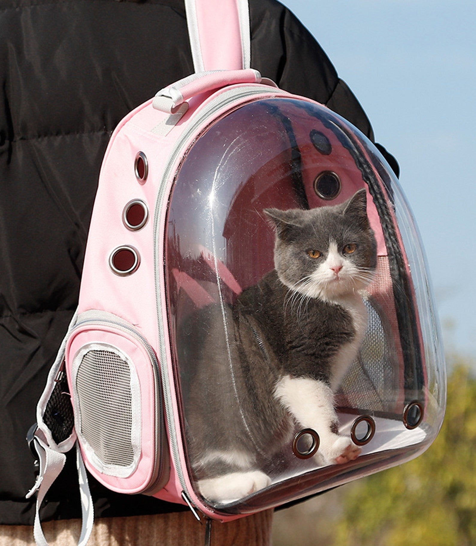 Mochila Pet Panorâmica™