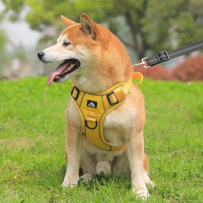 Colete peitoral ajustável e refletivo para cães de porte médio e grande - Segurança e conforto em cada passeio!